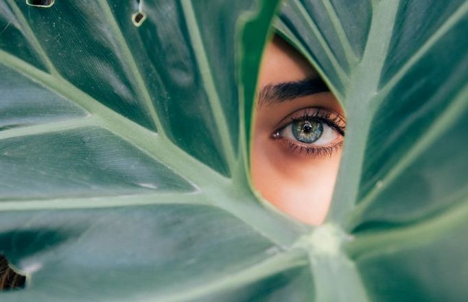 woman peeking over green leaf plant taken at daytime by Drew Dizzy Graham